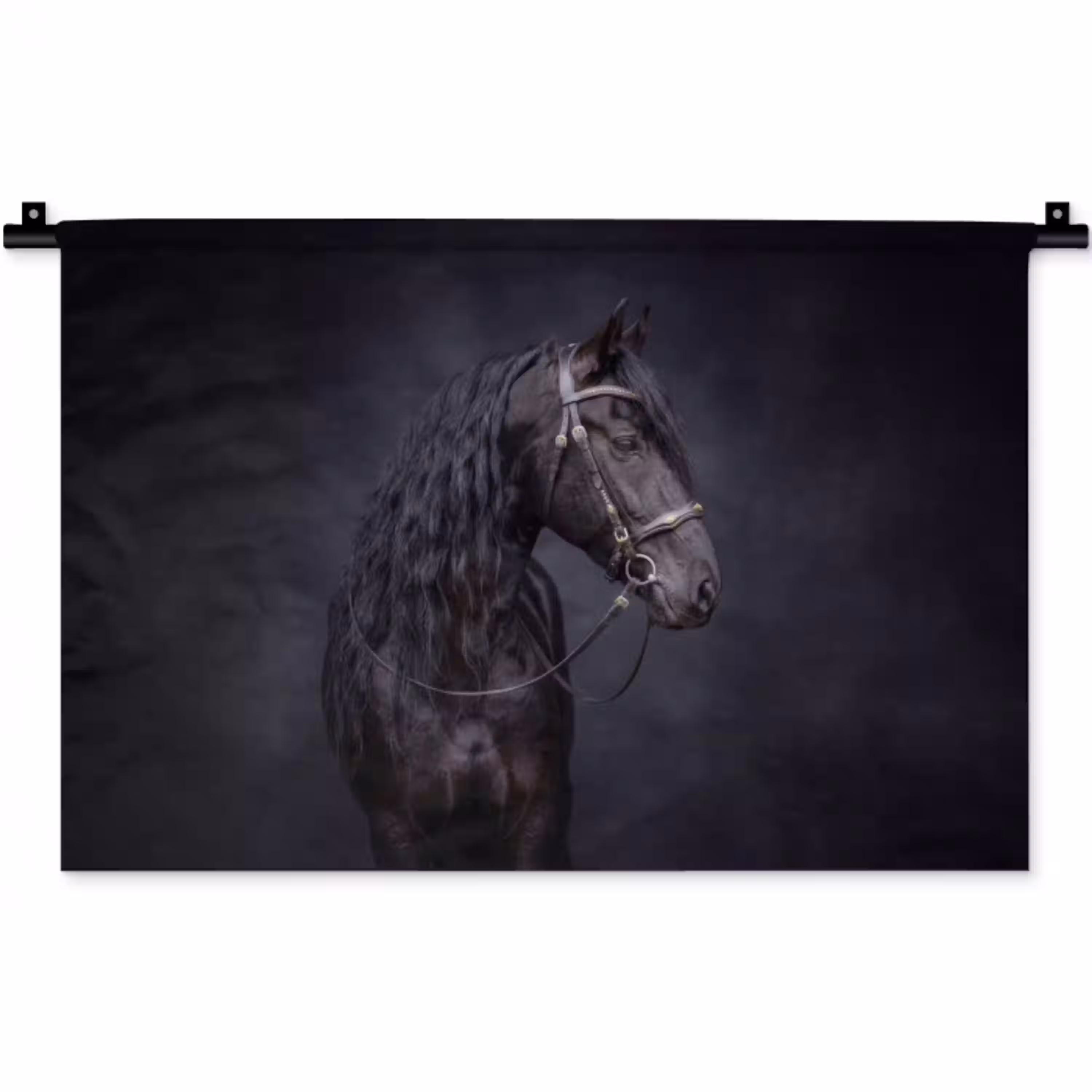 Portret - Paard - Donker Wandkleed katoen klein -zz3d