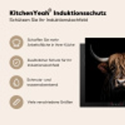 Nachtwacht van de Hooglanden Inductie beschermer vinyl 3mm middel -tsfeer2_DE