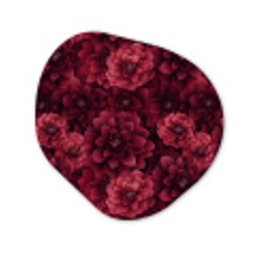 Dahlias - Bloemen - Rood Wandcirkel Organisch Forex 3mm klein 629 -3d