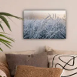 Rijp - Gras - Kristallen - Winter - Minimalistisch canvas 2cm klein -sfeer1