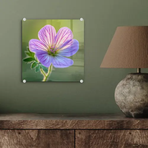 Bloem - Close up - Paars plexiglas 5mm klein -sfeer3