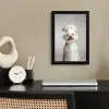 Hond - Wit - Kok fotolijst zwart zonder passe partout klein -sfeer1