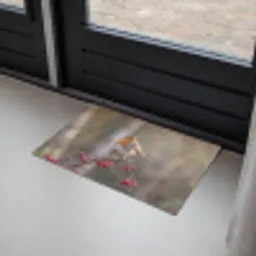 Roodborst - Tak - Bessen - Natuur Deurmat klein -sfeer2