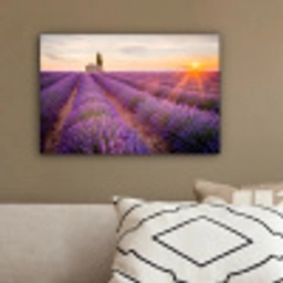 Lavendel - Zonsondergang - Bloemen - Paars canvas 2cm klein -sfeer3