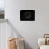 Panter - Dieren - Zwart - Ogen tuinposter los doek klein -sfeer8