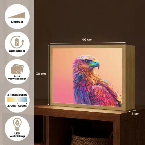 Arend - Vogel - Kleurrijk - Dier Light Box met batterij (Wandlamp kind) middel -USP_websiteoverzichtNL