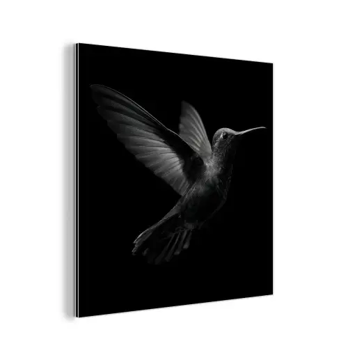 Kolibrie - Zwart - Dieren aluminium wit klein -3d