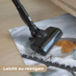 Roodborstje - Tak - Sneeuw - Winter - Levendig Deurmat klein -reinigen_DE