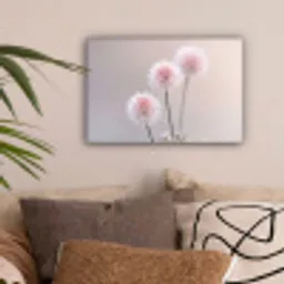 Bloemen - Bollen - Roze canvas 2cm klein -sfeer1