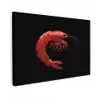 Garnaal - Rood - Dieren Tuinposter op houten frame 2 cm dik klein -3d