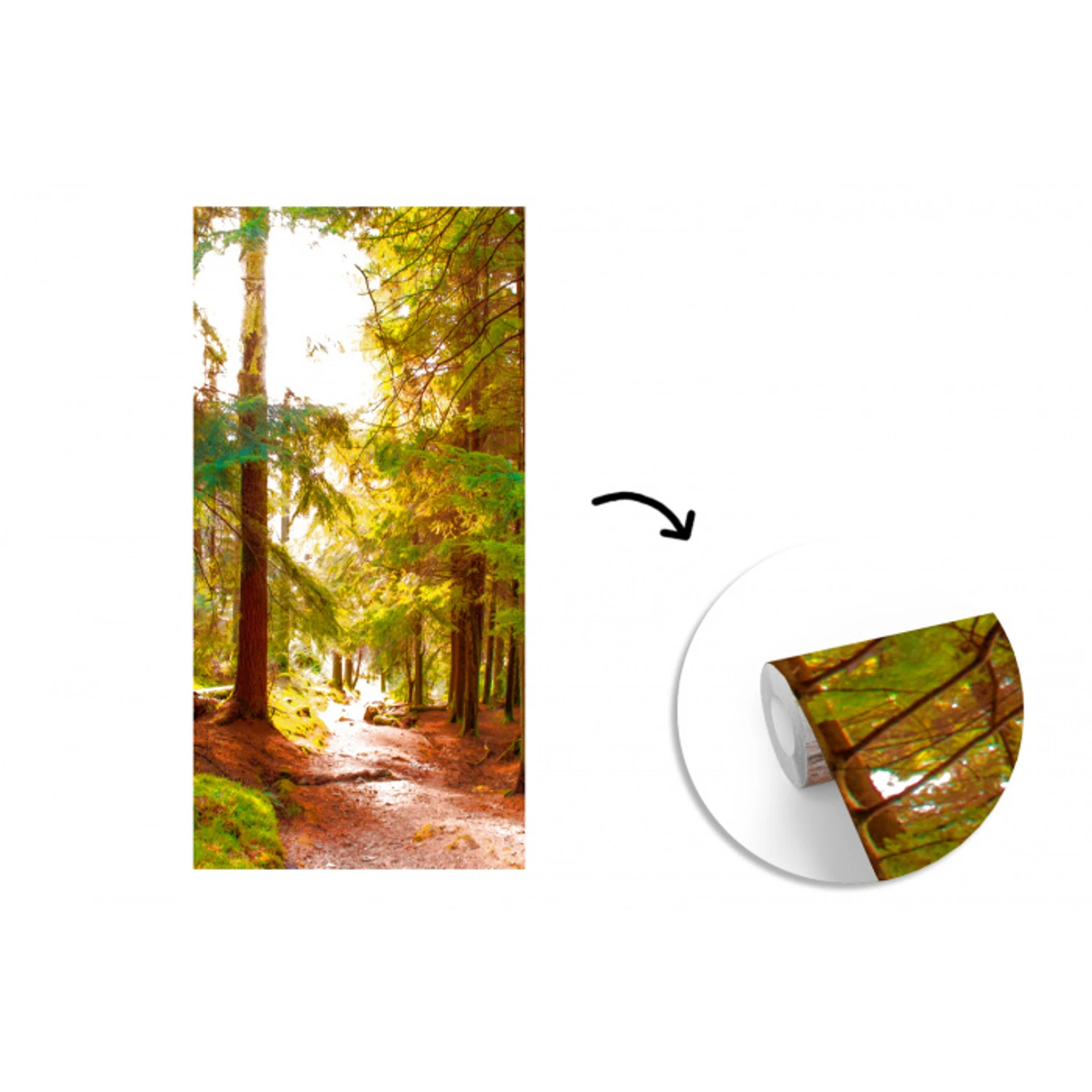Bos - Pad - Bomen - Groen - Zon - Natuur fotobehang vinyl groot -3d