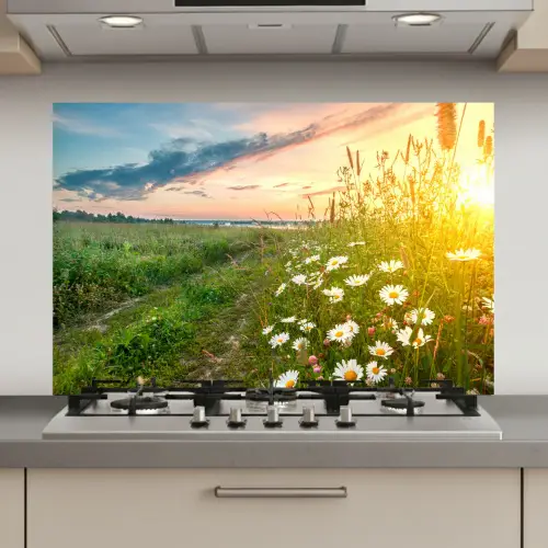 Bloemen - Madelief - Natuur - Zon - Horizon keuken achterwand spatscherm klein -3d_website