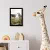 Koeien - Licht - Gras - Dieren fotolijst zwart zonder passe partout klein -usfeer4_kinderkamer