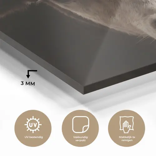 Kalf - Oormerk - Houten stal plexiglas 5mm klein -sfeer2