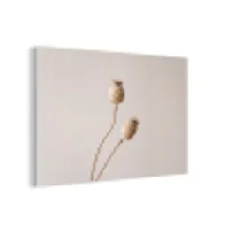 Papaverbollen - Droogbloemen - Minimalistisch - Beige - Rustig forex 5mm xxl -3d