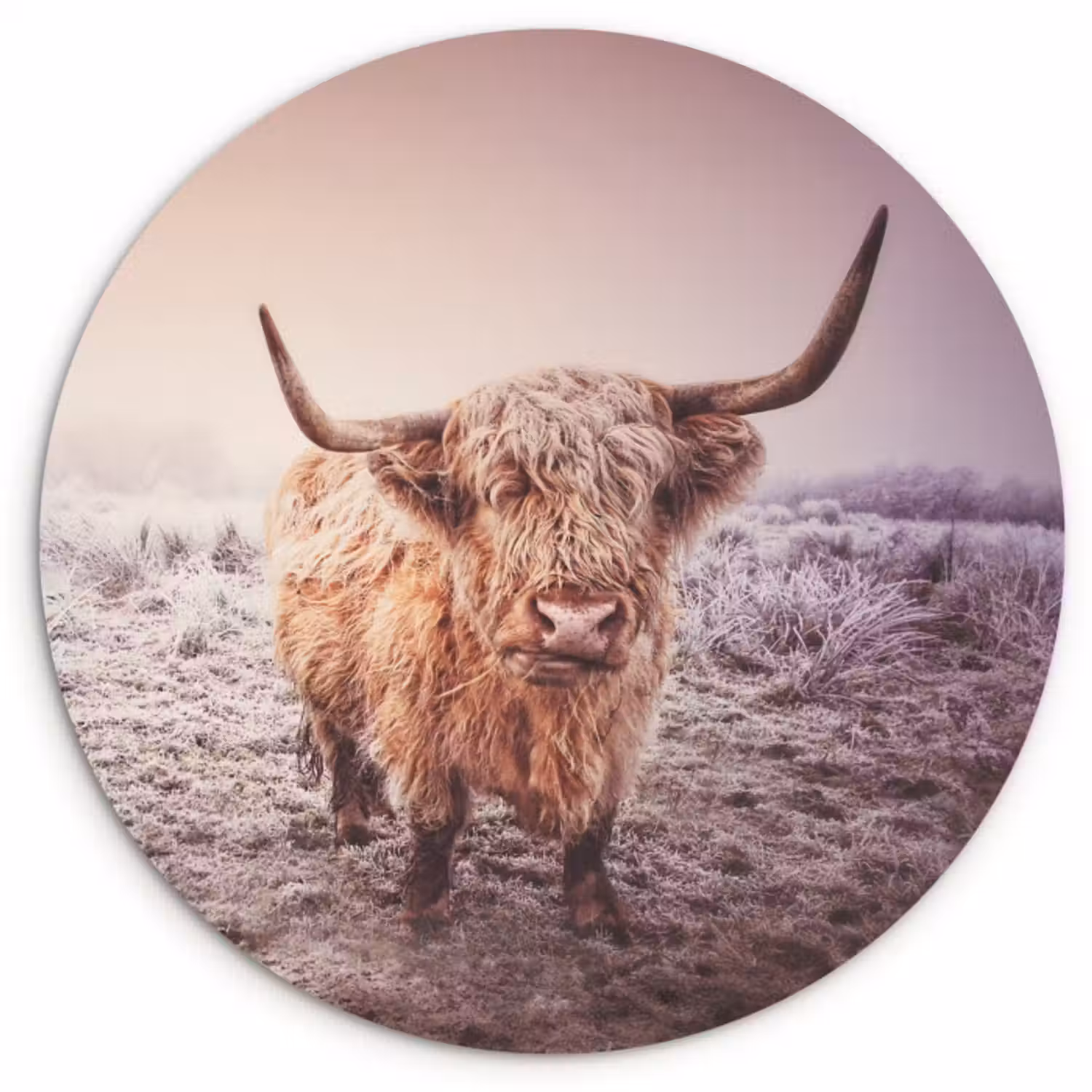 Muurcirkel - Schotse hooglanders - Licht - Lucht - Natuur