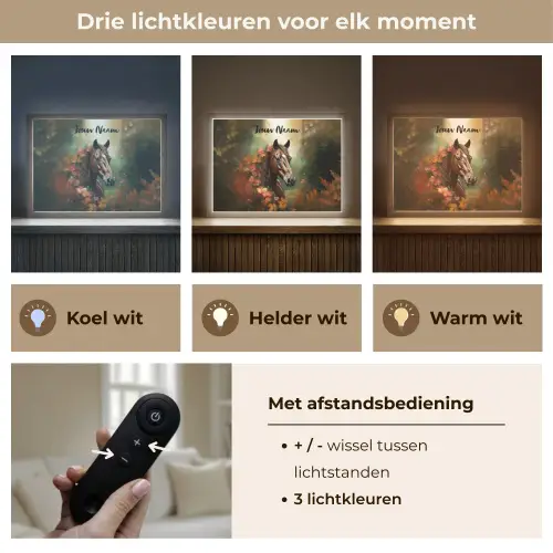 Paard - Bloemen - Natuur - Dieren - Bos - Oranje Light Box met batterij (Wandlamp kind) middel -USP_lichtkleurNL