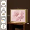 Bloem - Pioenroos - Roze Light Box met batterij (Wandlamp) middel -USP_websiteoverzichtNL