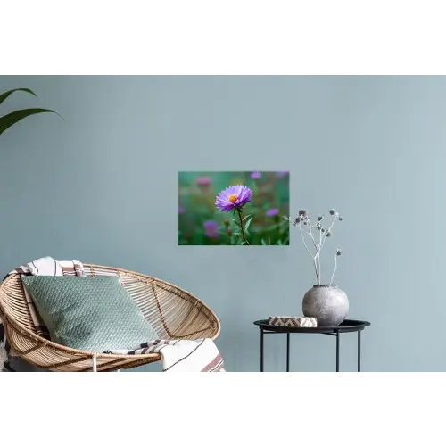 Aster - Paars - Bloem - Blaadjes Muursticker klein -plant