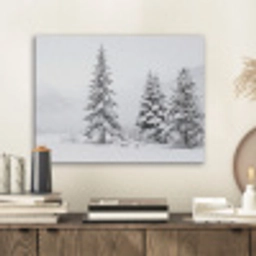 Fijnsparren - Sneeuw - Winter - Landschap - Stilte PET vilt klein -sfeer1