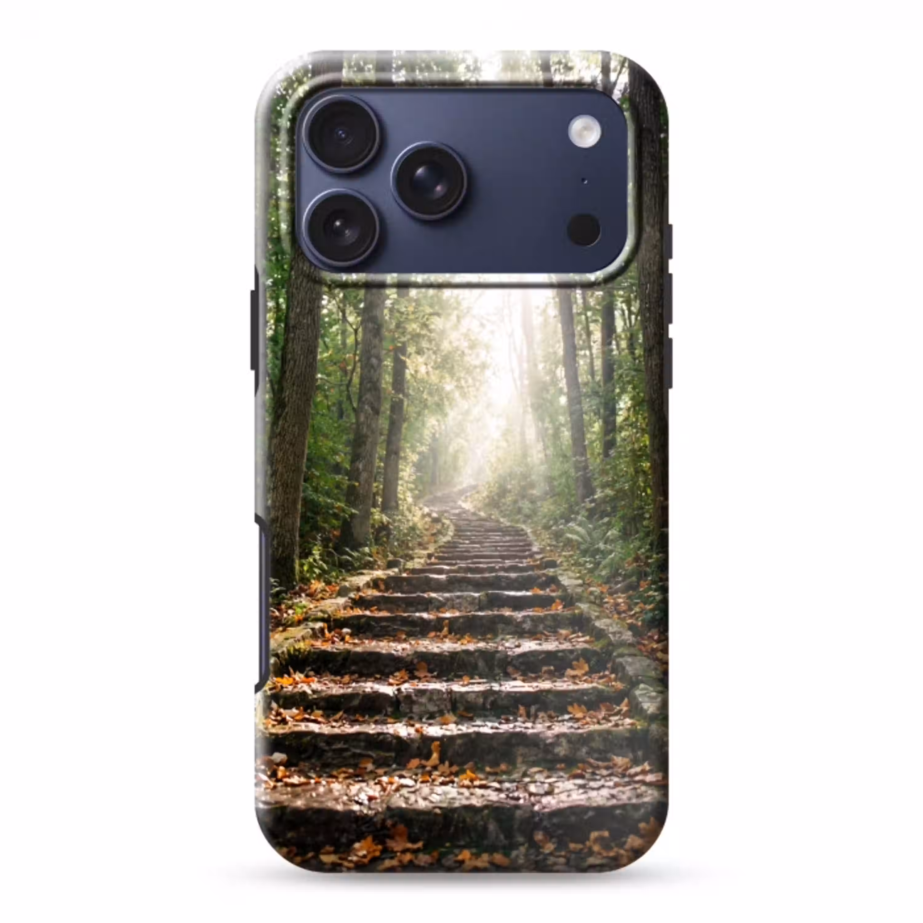 Stenen - Trap - Bos - Natuur Toughcase MagSafe Apple iPhone 17 Pro Max klein -3d