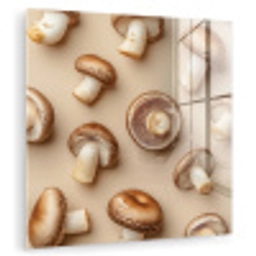 Kastanje Champignons - Beige plexiglas 5mm klein -zzzproduct_nieuw