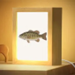 Vissen - Natuur - Vintage Light Box met kabel (Kinderlampje) klein -zzzz_3d_website