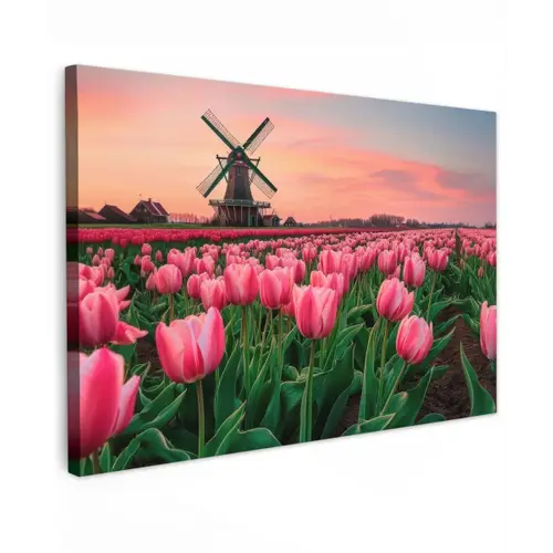 Tulpen - Molen - Nederland canvas 2cm klein -z3d