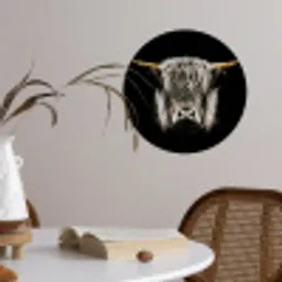 Schotse hooglander - Goud - Hoorns - Zwart wit - Koe - Dieren Wandcirkel behangsticker klein -sfeer3