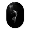 Koi - Vis - Wit - Zwart Wandcirkel Ovaal Glas middel -3d