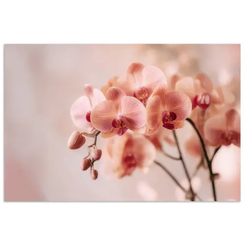 Orchidee - Bloemen - Roze - Bloemblaadjes poster papier klein -3d