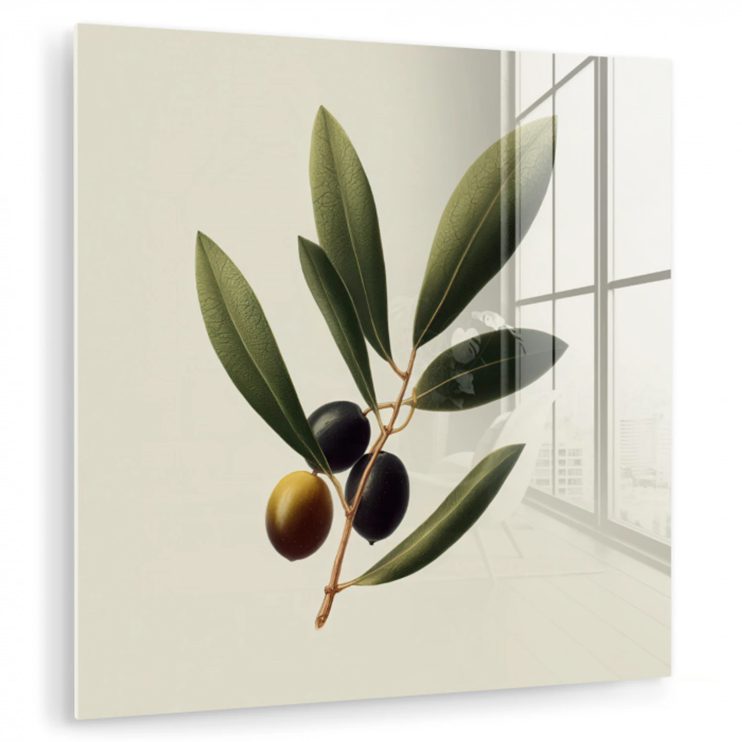 Olijftak - Donkergroen - Olijven plexiglas 5mm klein -zzzproduct_nieuw