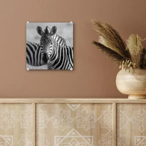 Zebra's - Zwart - Wit plexiglas 5mm klein -sfeer5