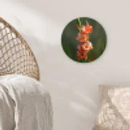 Bloem - Gladiolen - Zalmroze Wandcirkel kunststof plaat 5mm dik klein -sfeer5