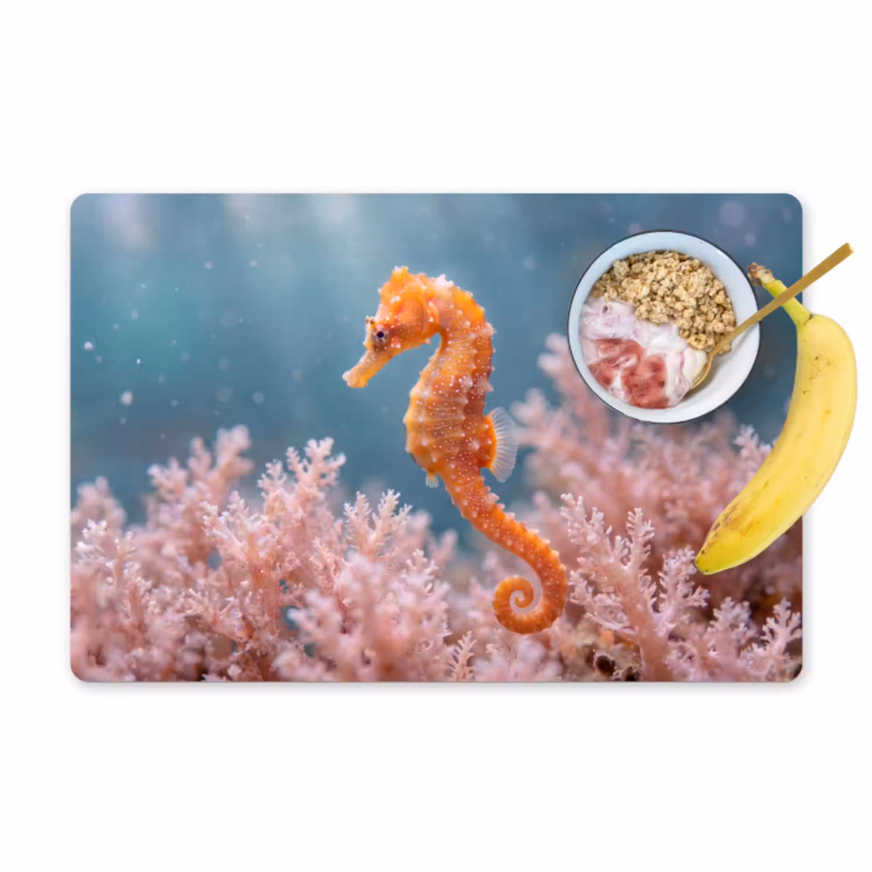 Vis - Koraal - Oceaan - Macro - Oranje Placemat vinyl groot -zzzproduct_Kitchenyeah-website