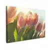 Tulpen - Roze - Zonnestralen Tuinposter op houten frame 2 cm dik klein -3d