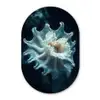Zeewezen - Wit - Golven - Water Wandcirkel Ovaal Glas middel -3d