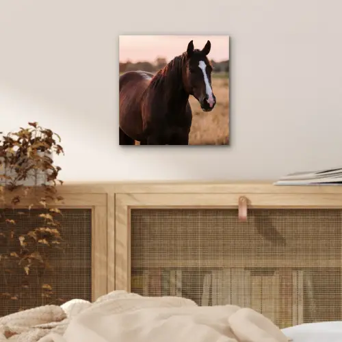 Paard - Zonsondergang - Bruin aluminium wit klein -sfeer3