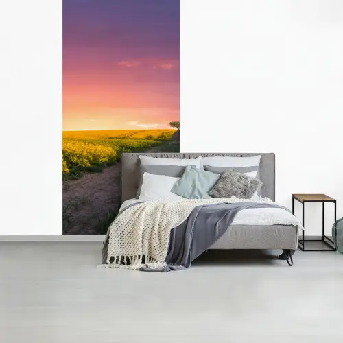 Bloemen - Weg - Lucht - Geel - Paars - Zonsondergang - Natuur fotobehang vinyl groot -slaapkamer