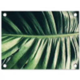 Bladeren - Tropisch - Jungle tuinposter los doek klein -3d