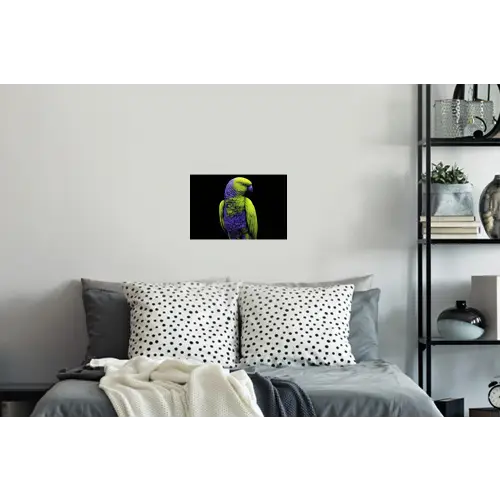 Papegaai - Veren - Opvallend - Groen Muursticker klein -slaapkamer