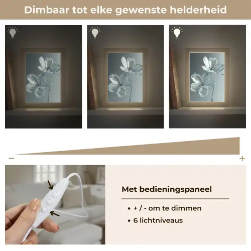 Kristal - Bloemen - Grijs Light Box met kabel (Tafellamp) klein -USP_dimbaarNL