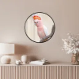 Papagaai - Tak - Roze Fotolijst rond zonder passe partout klein -sfeer3