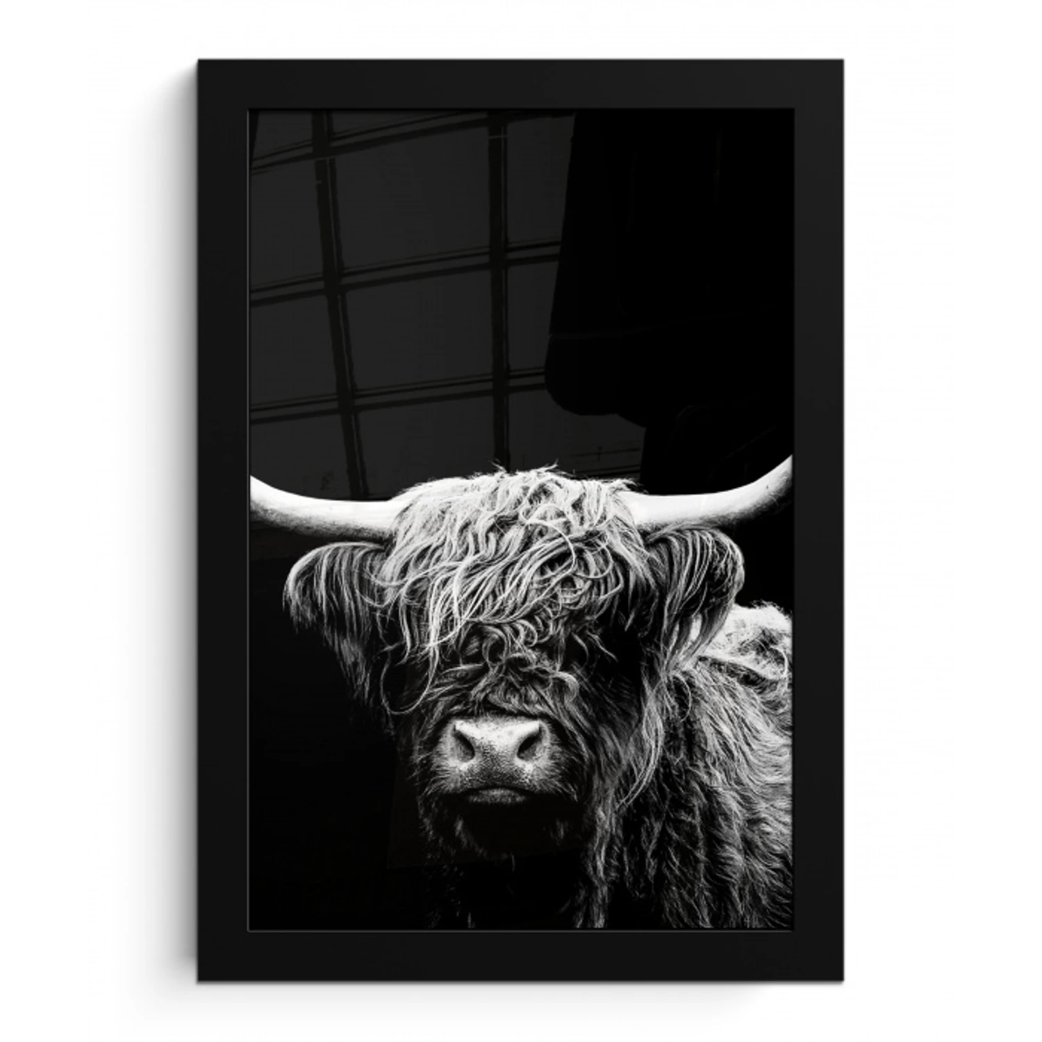 Schotse Hooglander - Koe - Zwart - Wit - Dieren fotolijst zwart zonder passe partout klein -3d