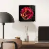 Bloem - Roos - Rood - Zwart plexiglas 5mm klein -sfeer6