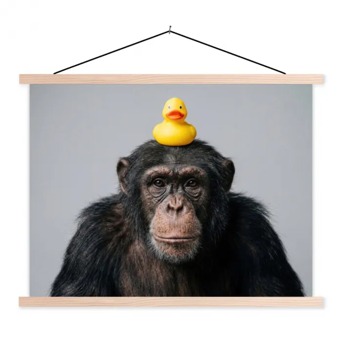Chimpansee - Badeend - Grijs textielposter latten blank klein -3d