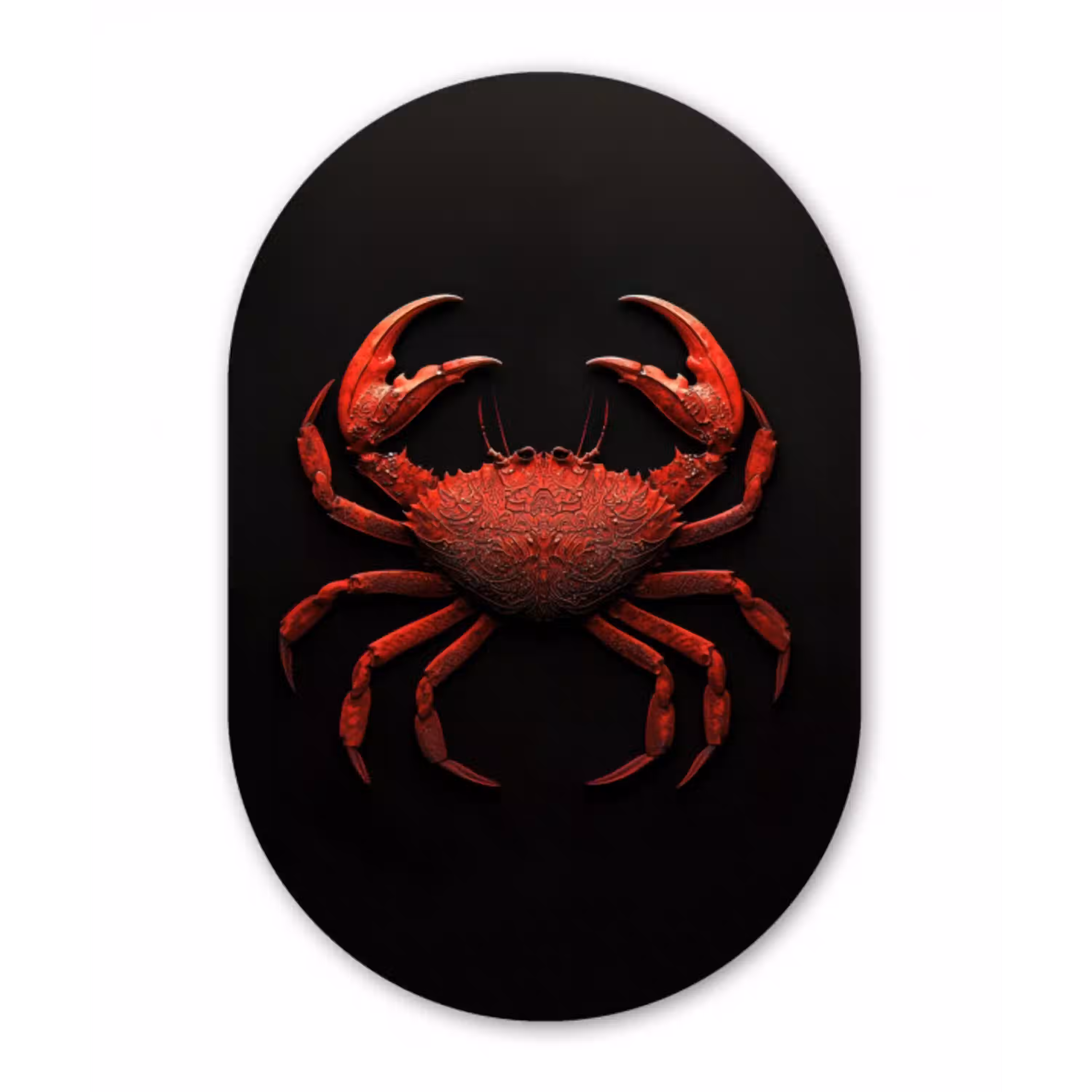 Krab - Rood - Vissen - Schaaldieren Wandcirkel Ovaal Forex klein -3d