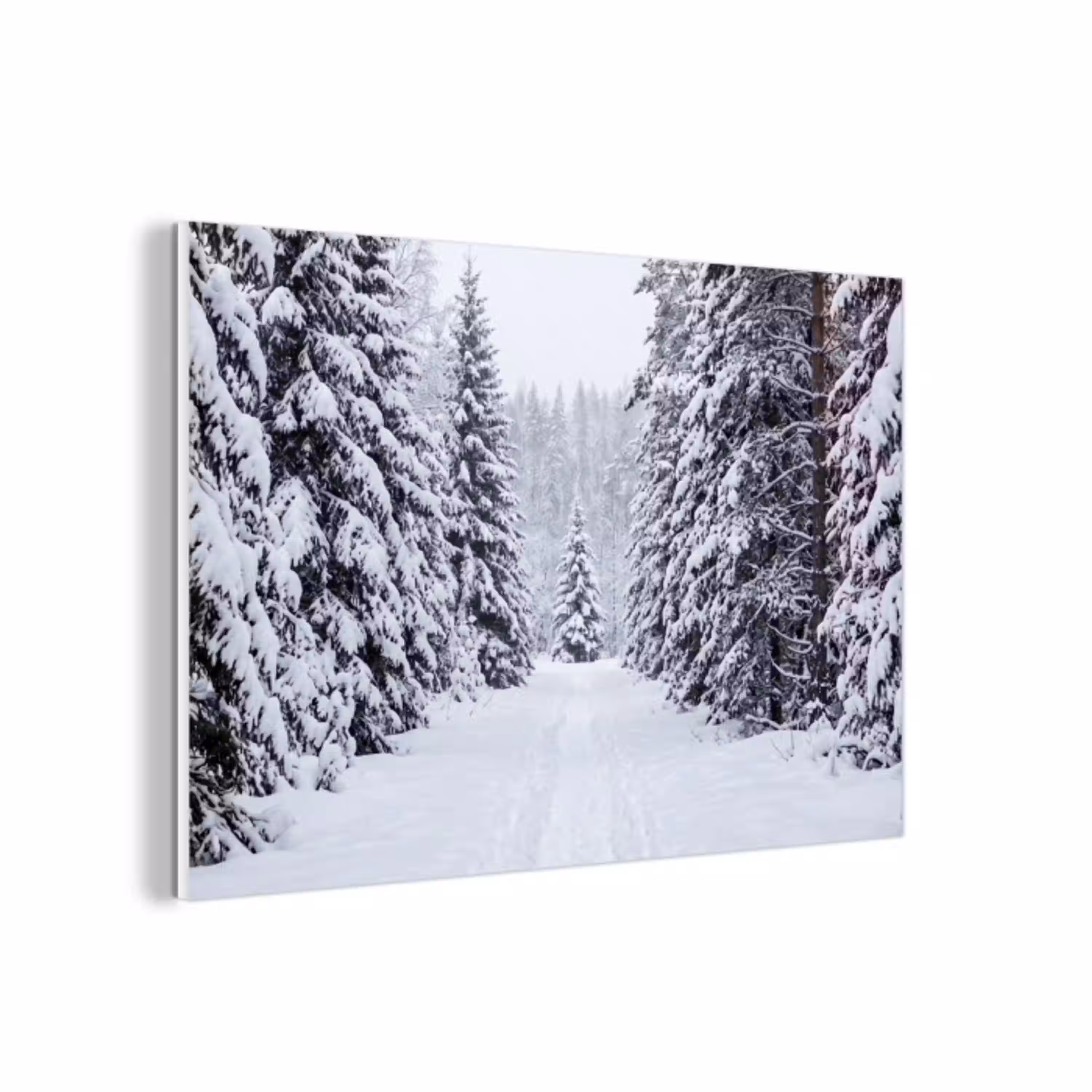 Bos - Winter - Sneeuw - Pad - Natuur forex 5mm xxl -3d