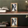 Buldog - Zwart - Abstract - Vlakken Light Box met kabel (Tafellamp) klein -sfeer3