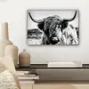 Koe - Schotse hooglander - Zwart - Wit - Dier - Natuur - Wild canvas 2cm klein -sfeer6